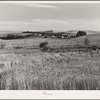 Farmstead and wheat land, Whitman County, Washington