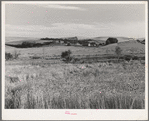 Farmstead and wheat land, Whitman County, Washington