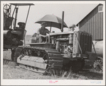 Caterpillar tractor used to draw combine in wheat field. Whitman County, Washington