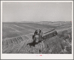 Combine in the wheat. Whitman County, Washington. About ninety percent of the land in this county is under cultivation. Wheat and livestock are principal crops