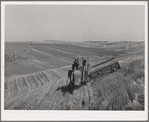 Combine in the wheat. Whitman County, Washington. About ninety percent of the land in this county is under cultivation. Wheat and livestock are principal crops