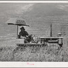 Caterpillar tractor in the wheat. Whitman County, Washington