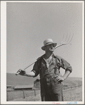 Wheat farmer, Whitman County, Washington.  He uses horses for farmwork, raises various grains for feed
