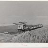 Caterpillar-drawn combine working in wheat fields. Whitman County, Washington