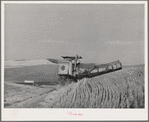 Caterpillar-drawn combine working in wheat fields. Whitman County, Washington
