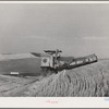 Caterpillar-drawn combine working in wheat fields. Whitman County, Washington