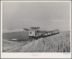 Caterpillar-drawn combine working in wheat fields. Whitman County, Washington