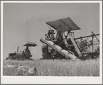 Tractor-drawn combine. Whitman County, Washington. Notice that wheat is sacked on combine