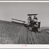 Tractor-drawn combine. Wheat fields, Whitman County, Washington