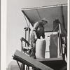 The sacker on wheat combine. Whitman County, Washington