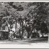 Shaded street. Waitsburg, Washington