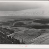 Looking down on wheat fields from Winchester Hill. Nez Perce County, Idaho
