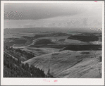 Looking down on wheat fields from Winchester Hill. Nez Perce County, Idaho