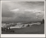 Wheat land. Darker fields are summer fallow. Nez Perce County, Idaho