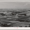 Wheat land. Darker fields are summer fallow. Nez Perce County, Idaho