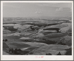 Wheat land. Darker fields are summer fallow. Nez Perce County, Idaho