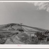 Farm scene. Walla Walla County, Washington