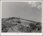 Farm scene. Walla Walla County, Washington