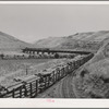 Logging train. Spalding Junction, Idaho