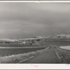 Wheat farms. Idaho County, Idaho