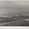 Wheat farms. Idaho County, Idaho