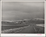 Wheat farms. Idaho County, Idaho