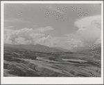 Wheat lands. Idaho County, Idaho