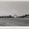Wheat elevator. Latah County, Idaho