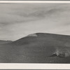 Harrowing summer fallow (wheat land). Nez Perce County, Idaho