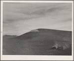 Harrowing summer fallow (wheat land). Nez Perce County, Idaho