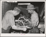 Repairing tractor, Colfax. Washington