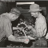 Repairing tractor, Colfax. Washington