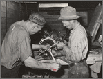 Repairing tractor, Colfax. Washington