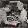 Repairing tractor, Colfax. Washington