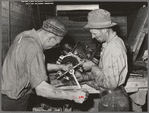 Repairing tractor, Colfax. Washington