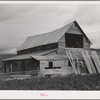 Old barns on farm which was included as part of Boundary Farms, FSA (Farm Security Administration) project. Boundary County, Idaho