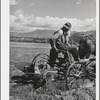 FSA (Farm Security Administration) rehabilitation borrower plowing. Boundary County, Idaho