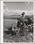FSA (Farm Security Administration) rehabilitation borrower plowing. Boundary County, Idaho