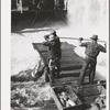 Indian salmon fishermen, Celilo Falls, Oregon. When the run is at its peak it is not unusual to see several large salmon taken in one net