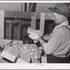 Farm worker who lives at the FSA (Farm Security Administration) farm family migratory labor camp. Yakima, Washington. He is attending the WPA (Work Projects Administration) apple packing school at the camp