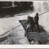 Indian fishermen pull in net heavy with salmon. Celilo Falls, Oregon