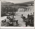 Indians fishing for salmon at Celilo Falls, Oregon