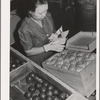 Farm woman who lives at the FSA (Farm Security Administration) farm family migratory labor camp, Yakima, Washington, packing wooden apples at the WPA (Work Projects Administration) apple packing school at the camp