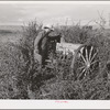 Farmer who has no shed facilities for storing machinery. Yakima County, Washington. He rents from Indians