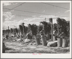 Hop pickers, Yakima County, Washington. Practically all hops in the U.S. States are grown in Oregon, Idaho, and Washington. In 1940 Oregon grew forty-seven percent of the Coast production