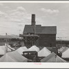 Tents of hop pickers, kiln in background. These tents are furnished by the grower. Yakima County, Washington