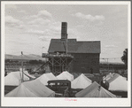 Tents of hop pickers, kiln in background. These tents are furnished by the grower. Yakima County, Washington