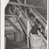 Repicker or cleaner, who works at stationary-type mechanical hop picker. Yakima County, Washington