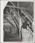 Repicker or cleaner, who works at stationary-type mechanical hop picker. Yakima County, Washington