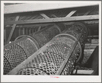 Rollers used in stationary-type mechanical hop picker. Yakima County, Washington